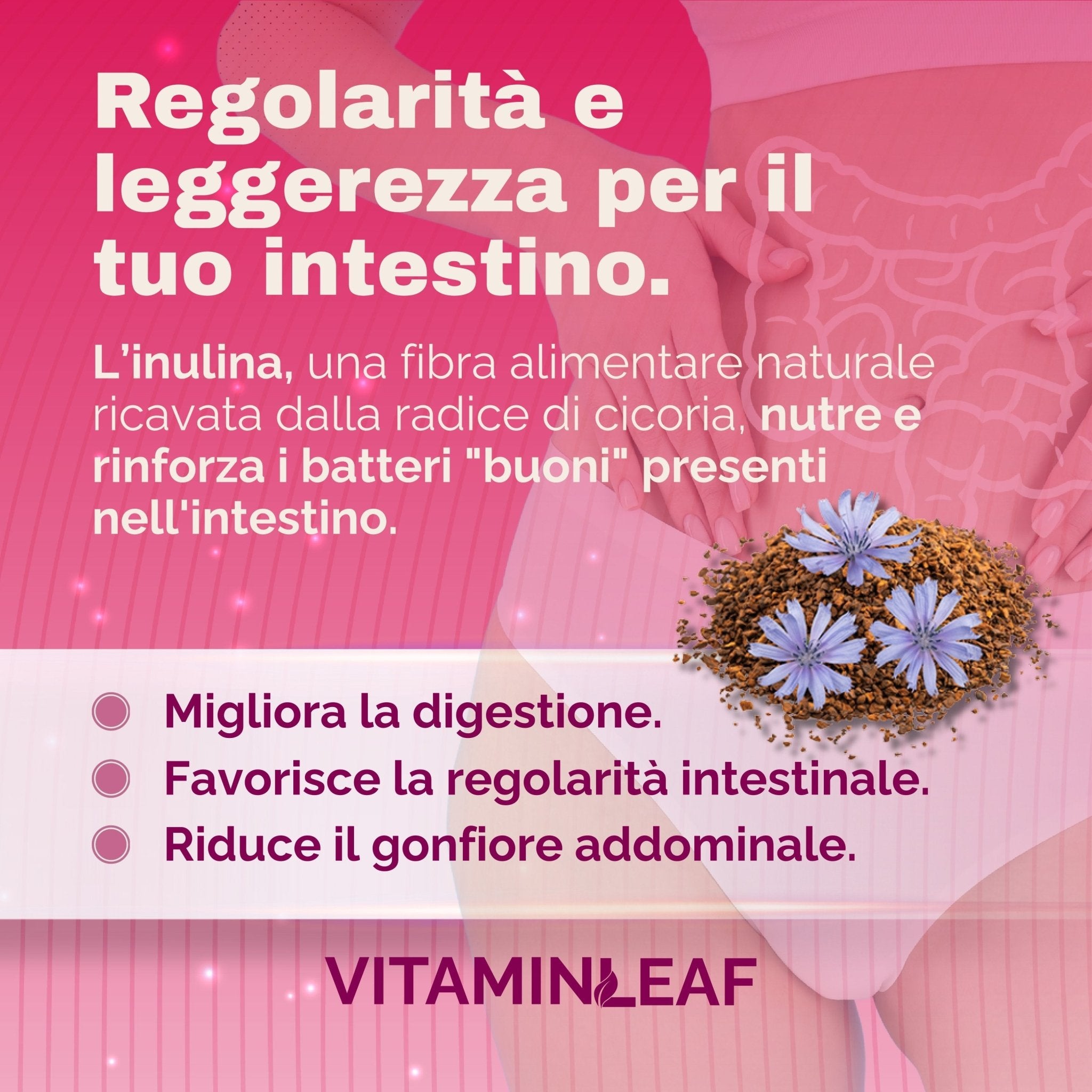 Probiodonna – Equilibrio Intestinale e Benessere Femminile Quotidiano - VitaminLeaf