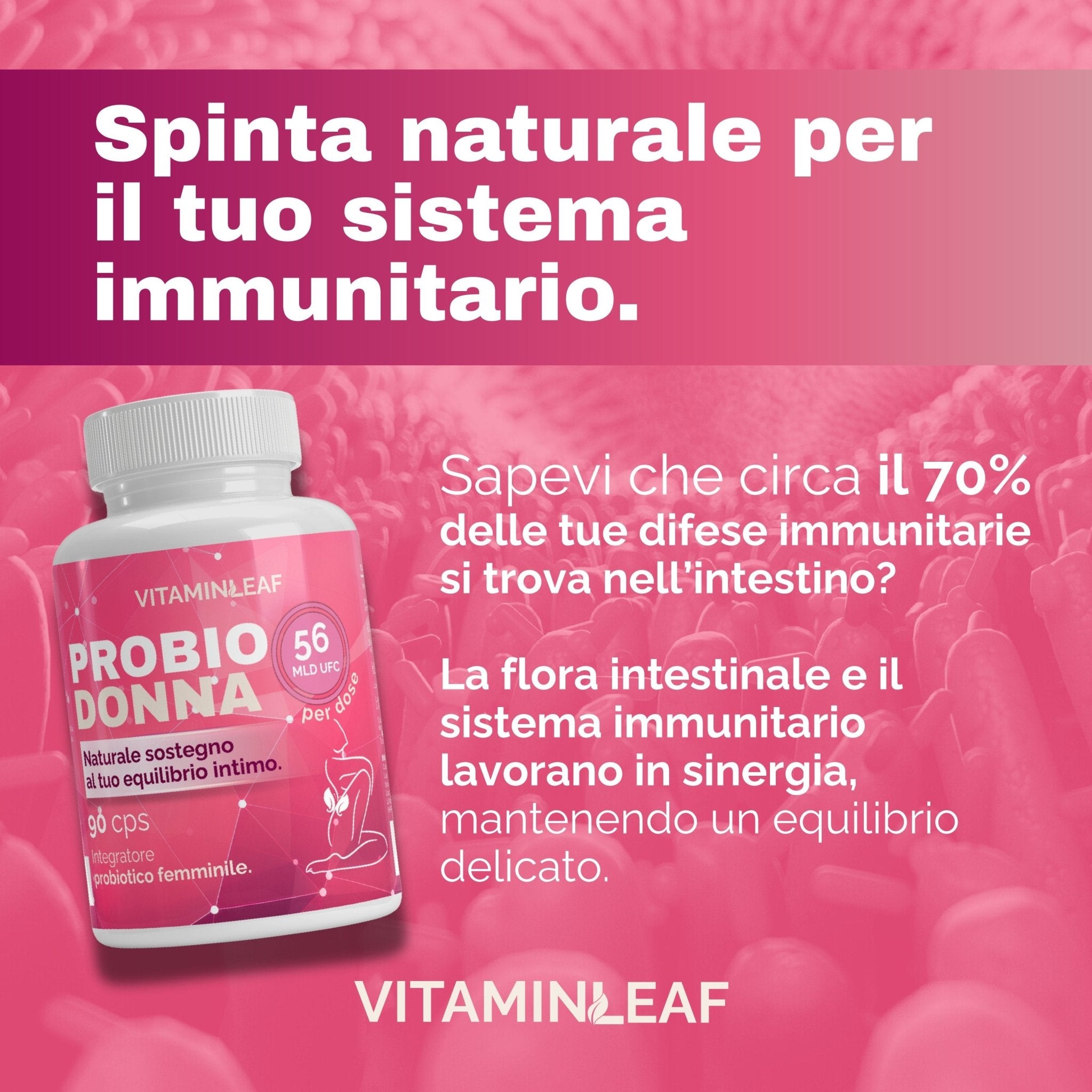 Probiodonna – Equilibrio Intestinale e Benessere Femminile Quotidiano - VitaminLeaf